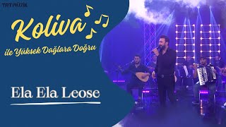 Koliva | Ela Ela Leose #CanlıPerformans🎤