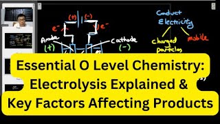 Essential O Level Chemistry: Electrolysis Explained \u0026 Key Factors Affecting Products