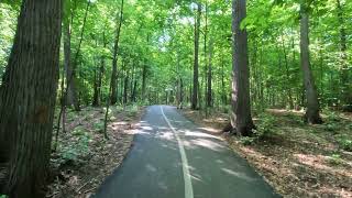 Уфа l Hd l 4k Walking l Summer Nature l Forest l Voronki