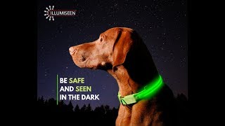 Illumiseen's LED Dog Collar