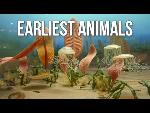 When did the first worms appear on Earth?