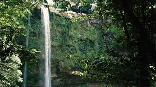 EL RIO ENCANTADO (THE ENCHANTED RIVER) | trailer | ttff/22