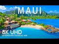 Maui 8K Drone Footage | Road to Hana, White Sand Shores & Turquoise Majesty UHD