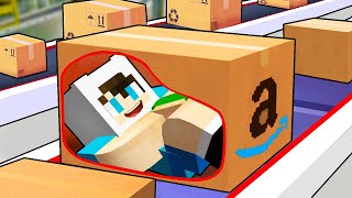 KENDİMİ KARGO PAKETİNDE GÖNDERDİM 😱 Minecraft