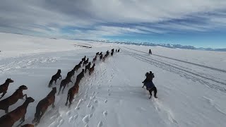 雪原を疾走する馬が冬季観光の目玉に　新疆ウイグル自治区