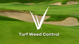 4. Turf weed control