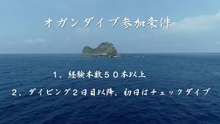 西表島　オガン （ドリフト）での基本的な潜り方