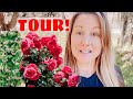 FLOWER GARDEN IDEAS TOUR | Rose Garden + Secret Garden + Azaleas In December