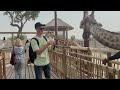 dubai safari park 2024 4k video