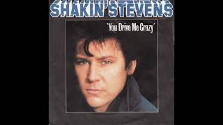 Shakin` Stevens - You Drive Me Crazy (Torisutan Extended)
