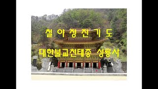 대한불교천태종 성룡사 갑진년 2차 백만독 참회정진기도 - 불기 2568년(서기 2024년) 11월 25일 오후 9시 (45일차) #대한불교천태종 #성룡사 #세운스님