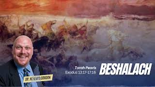 Torah Pearls #16 – Beshalach (Exodus 13:17-17:16) - NehemiasWall.com