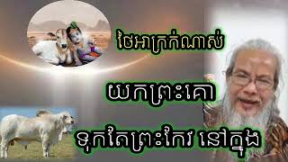 អាណិតព្រះគោណាស់ នៅប្រទេសថៃ សម្ដែងដោយ លោកតាសក់សភ្នំត្បែង