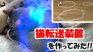 猫が吸い寄せられると噂の「猫転送装置」を作ってみた！【検証】