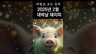 2025년 2월 무인월 돼지띠 운세! 행운의 날짜를 꼭 확인하세요! 돼지띠분들 이날에 대박납니다! #띠별운세, #행운의날짜, #새해운세,