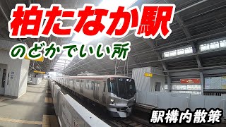 つくばエクスプレス、柏たなか駅構内を散策！(Japan Walking around Kashiwatanaka Station)