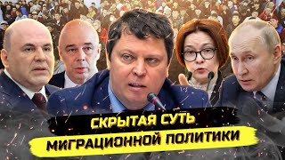 Шок! Мигранты для ЕдРа важнее денег!? Михаил Матвеев