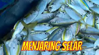 Claresta Taufan Mencari Ikan Selar | JEJAK PETUALANG