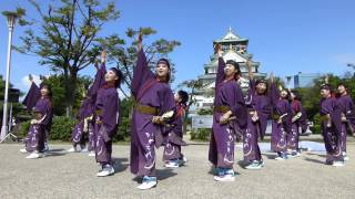 河内連　よさこい大阪大会　大阪城天守閣前広場