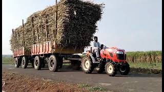 Swaraj target with loaded trolley