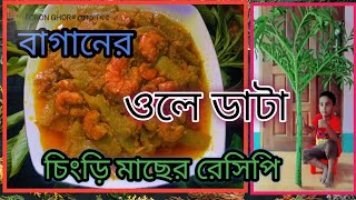 স্পেশাল ওলের ডাটা আর চিংড়ি মাছের রেসিপি বা রান্না। Oler data chingri recipe Bangladeshi food ranna##