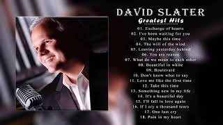 David Slater Greatest Hits - The Best Songs Of David Slater