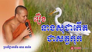 រឿងនាងសុជាតាកើតជាសត្វកុក - ព្រះវិជ្ជាកោវិទ សាន ភារ៉េត - Haotrai - San Pheareth