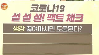 [루머 팩트 확인①] '생강' 끓여마시면 코로나19 예방할 수 있다?! | 행복한 아침 278 회