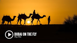 Fly Fishing Film Tour Movie Trailer: Dubai on the Fly