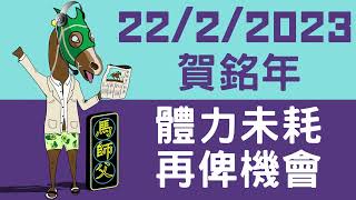 【賽馬貼士】【馬師父】 跑馬地草地 (2月22日) I 俾次機會賀銘年！上仗無跑過 慳晒體力再鬥過！