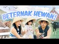 YUKA-CHAN SEHARIAN MAIN DI PETERNAKAN HEWAN! | vlog