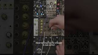 The Modular Minute 217: Signal Flow in Synthesis