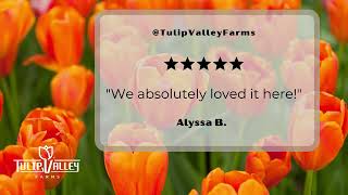 Tulip Valley Farms Reviews