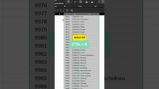 Cara memilih seluruh cell dalam 1 tabel. #2 CTRL+A #excel #exceltricks #exceltips #tutorial