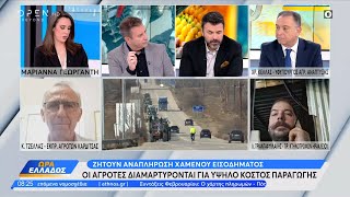 Οι αγρότες διαμαρτύρονται για το υψηλό κόστος παραγωγής | OPEN TV