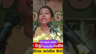 නිතර බැලීමෙන් ඇබ්බැහිවිය හැක || විහිළුවට නොගන්න 😂😂😂 #news #sjb #walapane #aiyo #malimawa #2023