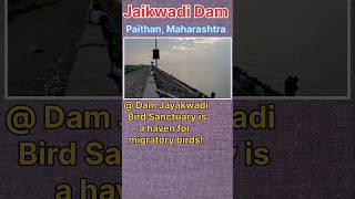 Jaikwadi Dam, where nature meets engineering marvel : Nurturing life \u0026 landscapes @ godavari river!