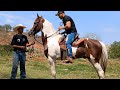 FOMOS A UMA FEIRA DE BARGANHA, COMPRA E VENDE CAVALO SÃO MUITOS ANIMAIS BONS EM ITAJUBÁ MG