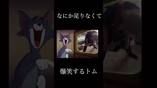 なにか足りなくて爆笑するトム #shorts #meme