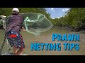 How to Cast Your Net & catch more Prawns! 🍤