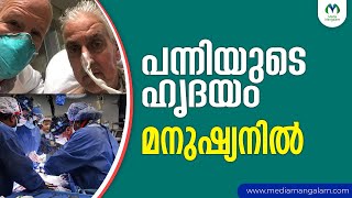 57 കാരന് പന്നിയുടെ ഹൃദയം | David Bennet