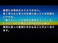 羽生善治さんの名言と「先を読む」思考法