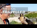 Meet The Maltese Falcon | EP: 20, part 3 | The Local Traveller with Clare Agius | Malta