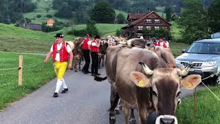 Öberefahre im Toggeburg ( Teil 2 ) mit dem Jodlerklub Männertreu Nesslau Neu- St. Johann.