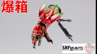 【爆箱】財団B 邪惡商法？？S.H.Figuarts（真骨彫製法） アンク