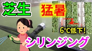 【ミスト】猛暑で弱った芝生にはシリンジング