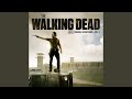 Warm Shadow  (Dactyl Remix) (The Walking Dead Soundtrack)