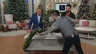 Scott Living Illuminated Luxe Ornament Wreath or Garland on QVC