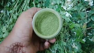 முருங்கை இலை (moringa leaf)powder !!!For long hair !! blood pressure!!! blood sugar!!!