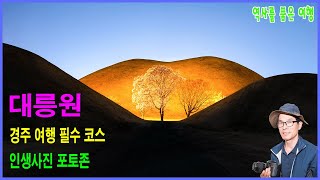 경주 대릉원, 왕릉, 황남대총, 천마총, 미추왕릉, 장니, 천마도, 왕관, 금관, 경주 여행 필수 코스, 문화유적, 문화재, 황남동, 경주 최대규모 무덤, 인생 사진, 포토존